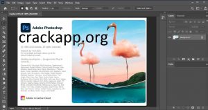 Adobe Photoshop CC 2021 Crack + Keygen [x32/x64Bit] Latest