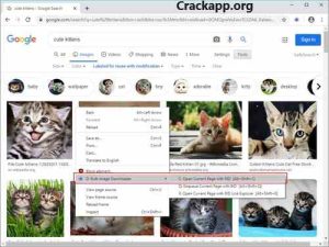 Bulk image downloader Crack + Liceance key full version [Latest]